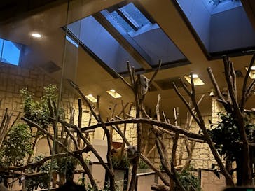 名古屋市東山動植物園に投稿された画像（2024/8/15）