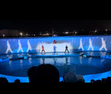 仙台うみの杜水族館に投稿された画像（2024/8/15）