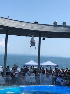 大分マリーンパレス水族館 「うみたまご」に投稿された画像（2024/8/15）