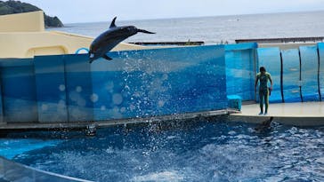 新江ノ島水族館に投稿された画像（2024/8/15）