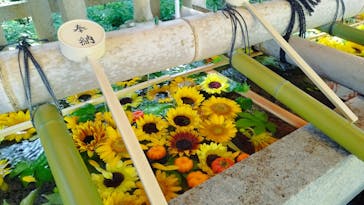 京阪電車に投稿された画像（2024/8/15）