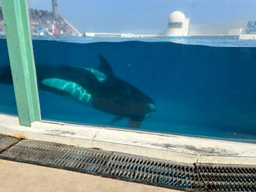 鴨川シーワールドに投稿された画像（2024/8/15）