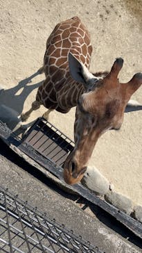 姫路セントラルパークに投稿された画像（2024/8/15）