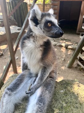 姫路セントラルパークに投稿された画像（2024/8/15）