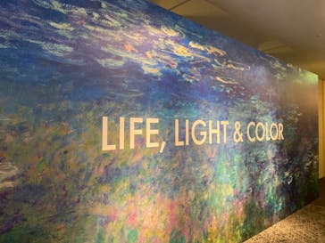 モネ＆フレンズ・アライブに投稿された画像（2024/8/15）