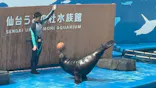 仙台うみの杜水族館に投稿された画像（2024/8/15）