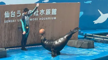 仙台うみの杜水族館に投稿された画像（2024/8/15）