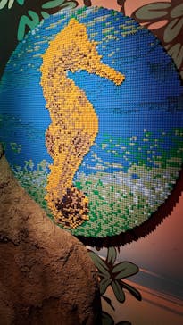 レゴランドⓇ・ジャパン・リゾートに投稿された画像（2024/8/15）