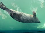 しながわ水族館に投稿された画像（2024/8/15）