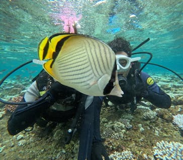 沖縄マリンサービス碧に投稿された画像（2024/8/15）