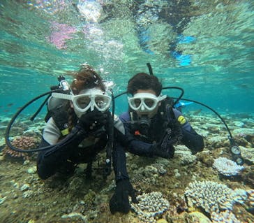 沖縄マリンサービス碧に投稿された画像（2024/8/15）