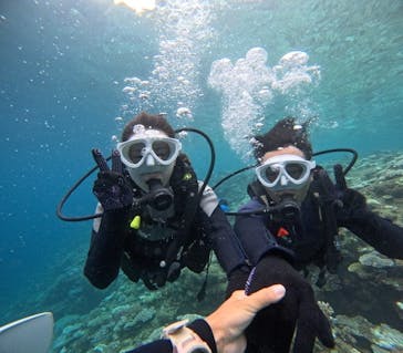 沖縄マリンサービス碧に投稿された画像（2024/8/15）