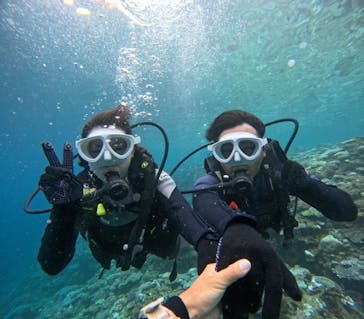 沖縄マリンサービス碧に投稿された画像（2024/8/15）