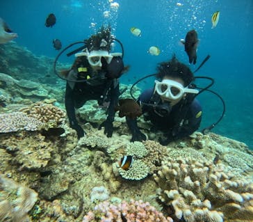 沖縄マリンサービス碧に投稿された画像（2024/8/15）