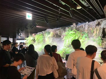 京都水族館に投稿された画像（2024/8/15）