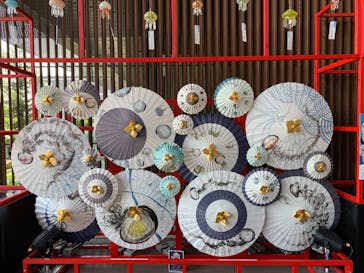 京都水族館に投稿された画像（2024/8/15）