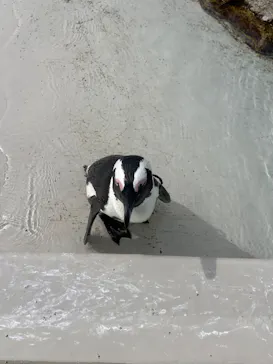 仙台うみの杜水族館に投稿された画像（2024/8/15）