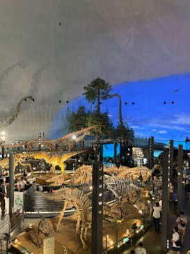 福井県立恐竜博物館に投稿された画像（2024/8/15）