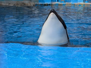 名古屋港水族館に投稿された画像（2024/8/15）