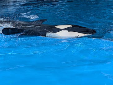 名古屋港水族館に投稿された画像（2024/8/15）
