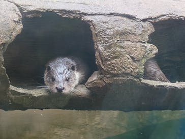 那須どうぶつ王国に投稿された画像（2024/8/15）