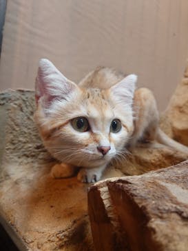 那須どうぶつ王国に投稿された画像（2024/8/15）