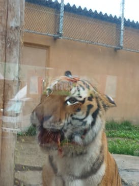 那須どうぶつ王国に投稿された画像（2024/8/15）