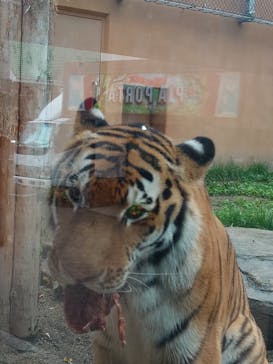 那須どうぶつ王国に投稿された画像（2024/8/15）