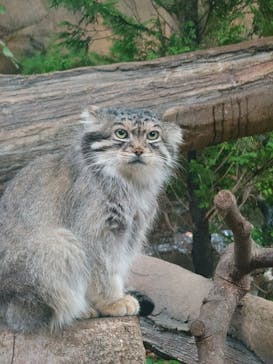 那須どうぶつ王国に投稿された画像（2024/8/15）