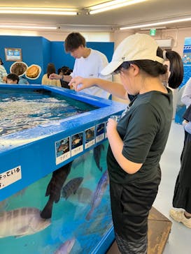 越前松島水族館に投稿された画像（2024/8/15）