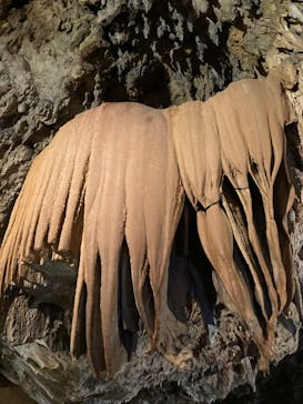 CAVE OKINAWAに投稿された画像（2024/8/15）