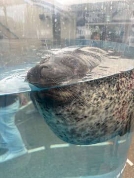京都水族館に投稿された画像（2024/8/15）