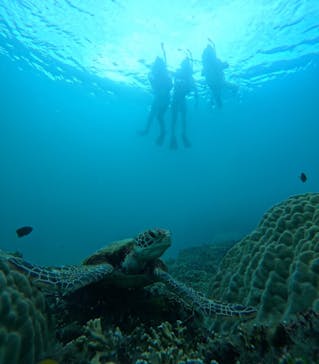 宮古島 ADVENTURE PiPi（ミヤコジマ アドベンチャー ピピ）に投稿された画像（2024/8/15）