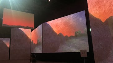 モネ＆フレンズ・アライブに投稿された画像（2024/8/15）