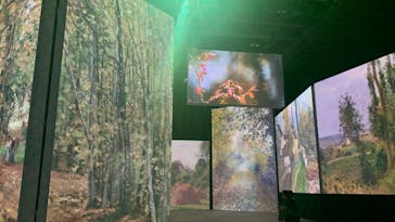 モネ＆フレンズ・アライブに投稿された画像（2024/8/15）