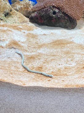 城崎マリンワールドに投稿された画像（2024/8/15）