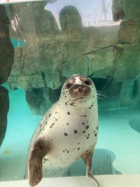 城崎マリンワールドに投稿された画像（2024/8/15）