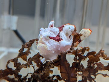 城崎マリンワールドに投稿された画像（2024/8/15）