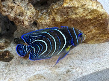 城崎マリンワールドに投稿された画像（2024/8/15）