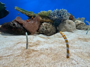 城崎マリンワールドに投稿された画像（2024/8/15）