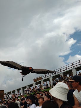 那須どうぶつ王国に投稿された画像（2024/8/15）