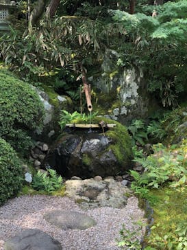 足立美術館に投稿された画像（2024/8/15）