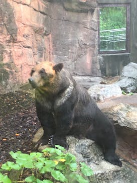 恩賜上野動物園に投稿された画像（2024/8/15）