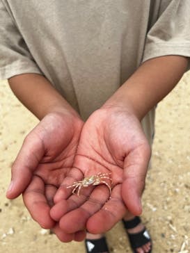 シーサー体験　琉球窯に投稿された画像（2024/8/15）