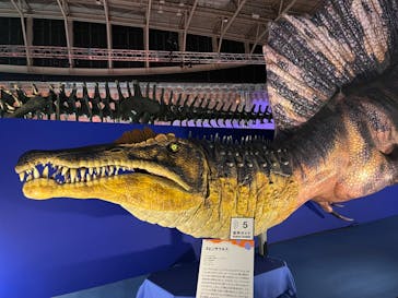 巨大恐竜展2024に投稿された画像（2024/8/15）