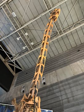 巨大恐竜展2024に投稿された画像（2024/8/15）