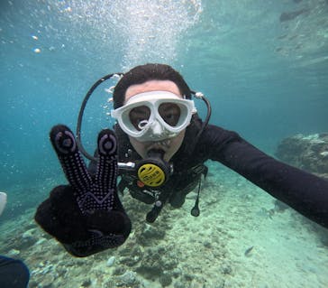 沖縄マリンサービス碧に投稿された画像（2024/8/15）