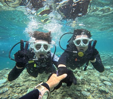 沖縄マリンサービス碧に投稿された画像（2024/8/15）