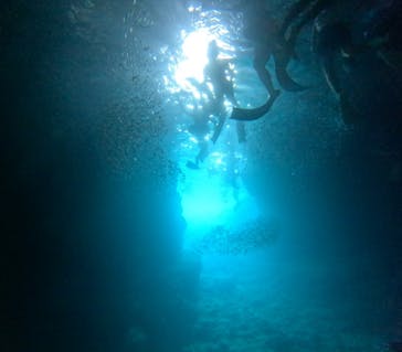 沖縄マリンサービス碧に投稿された画像（2024/8/15）