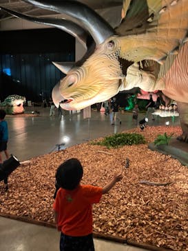 朱鷺メッセに投稿された画像（2024/8/15）